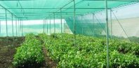 Net Houses Agriculture and Horticulture